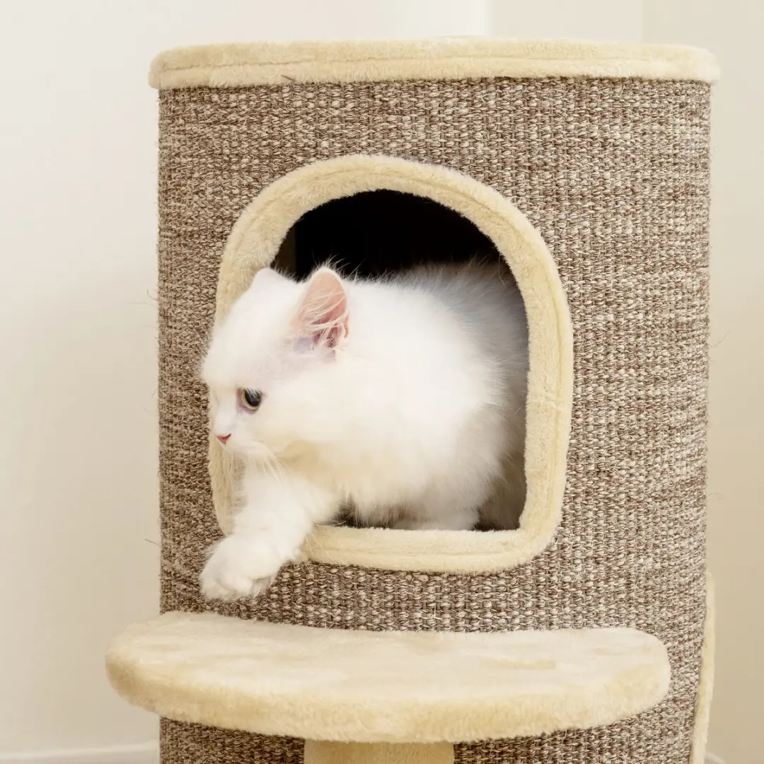Pawhut Kattentoren Beige/Bruin 60x60x61cm - 2 Ligplekken