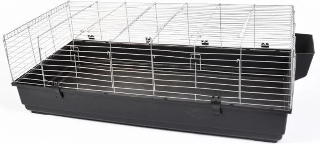 Duvo Liberty 120 Kooi