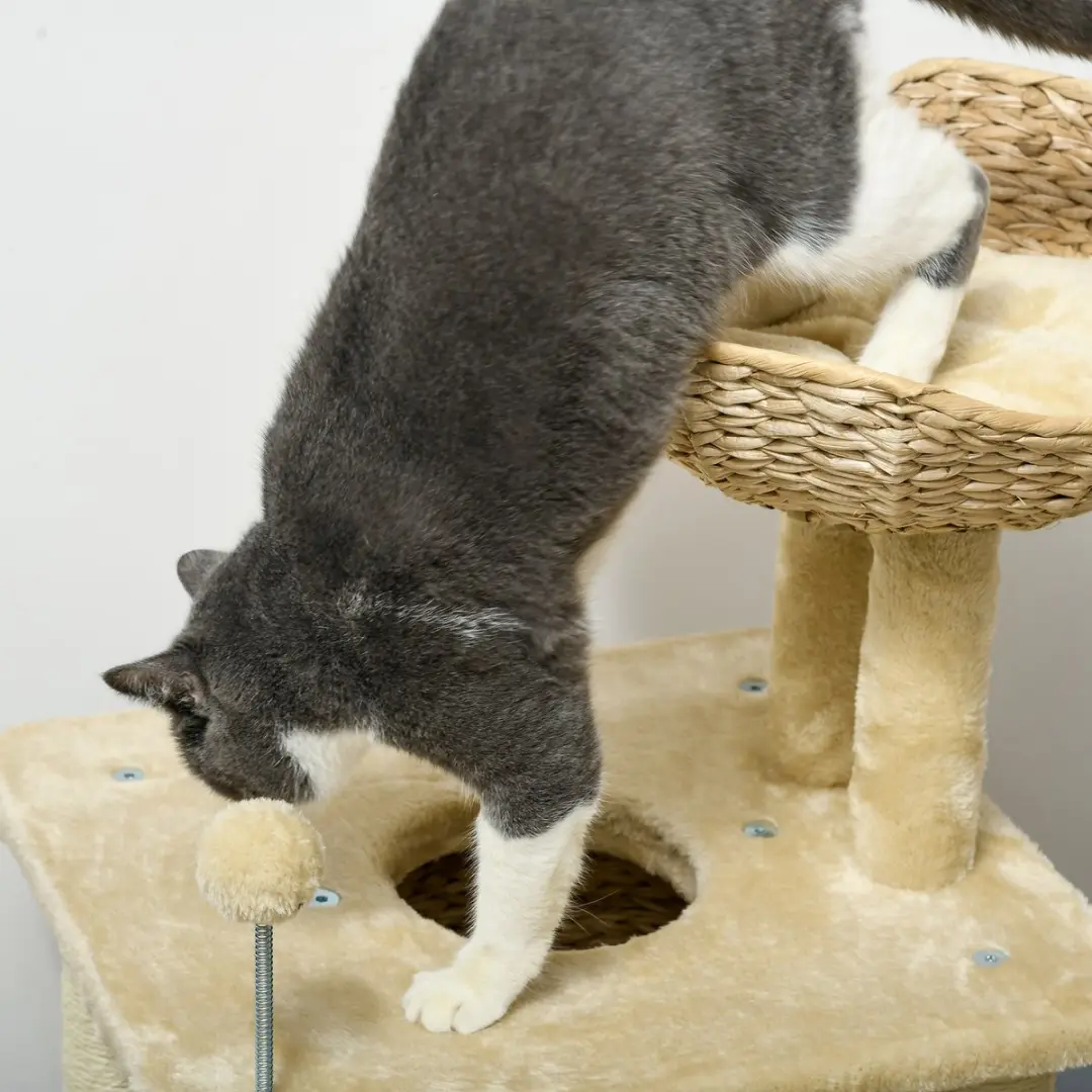Pawhut Kattenkrabpaal 74cm - 2 Niveaus - 3 Ligplekken - Beige