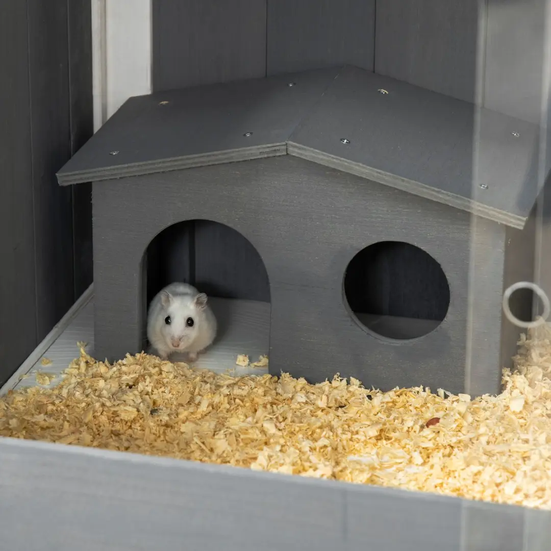 Pawhut Hamsterkooi 82x45x81cm - Donkergrijs - met 2 hutten