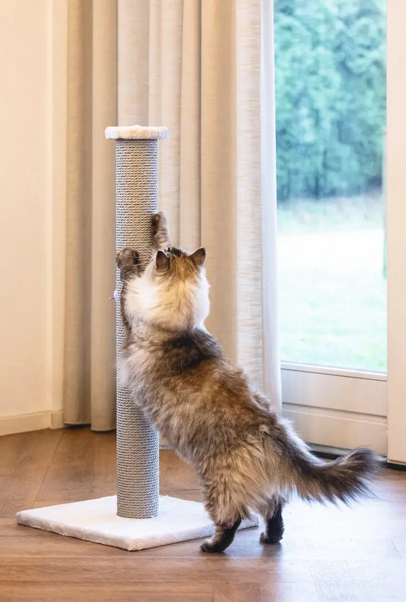 Beeztees Serpa XL Katten Krabpaal Grijs 40x40x90cm