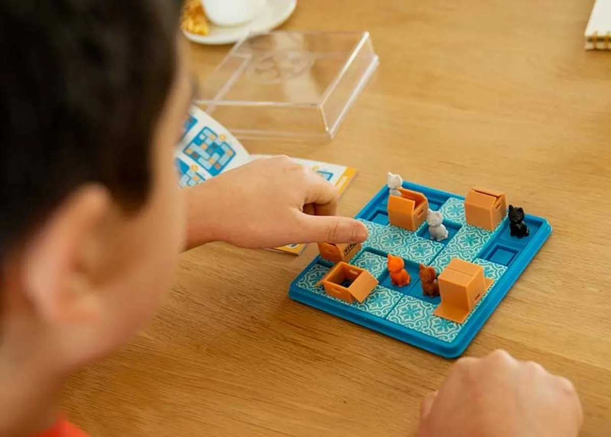 SmartGames Cats & Boxes SG 450 Denkspel - 60 Opdrachten