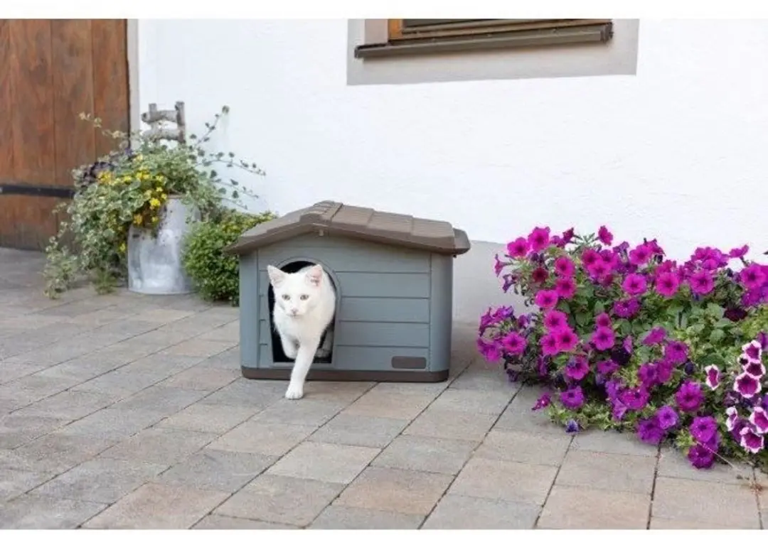 Kerbl Paola Eco XL Kattenhuis - 75x59x55cm - Grijs