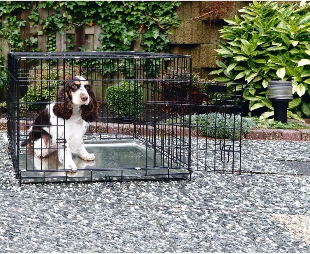 Beeztees Hondenbench M 2 Deurs - 78x55x61cm - Zwart