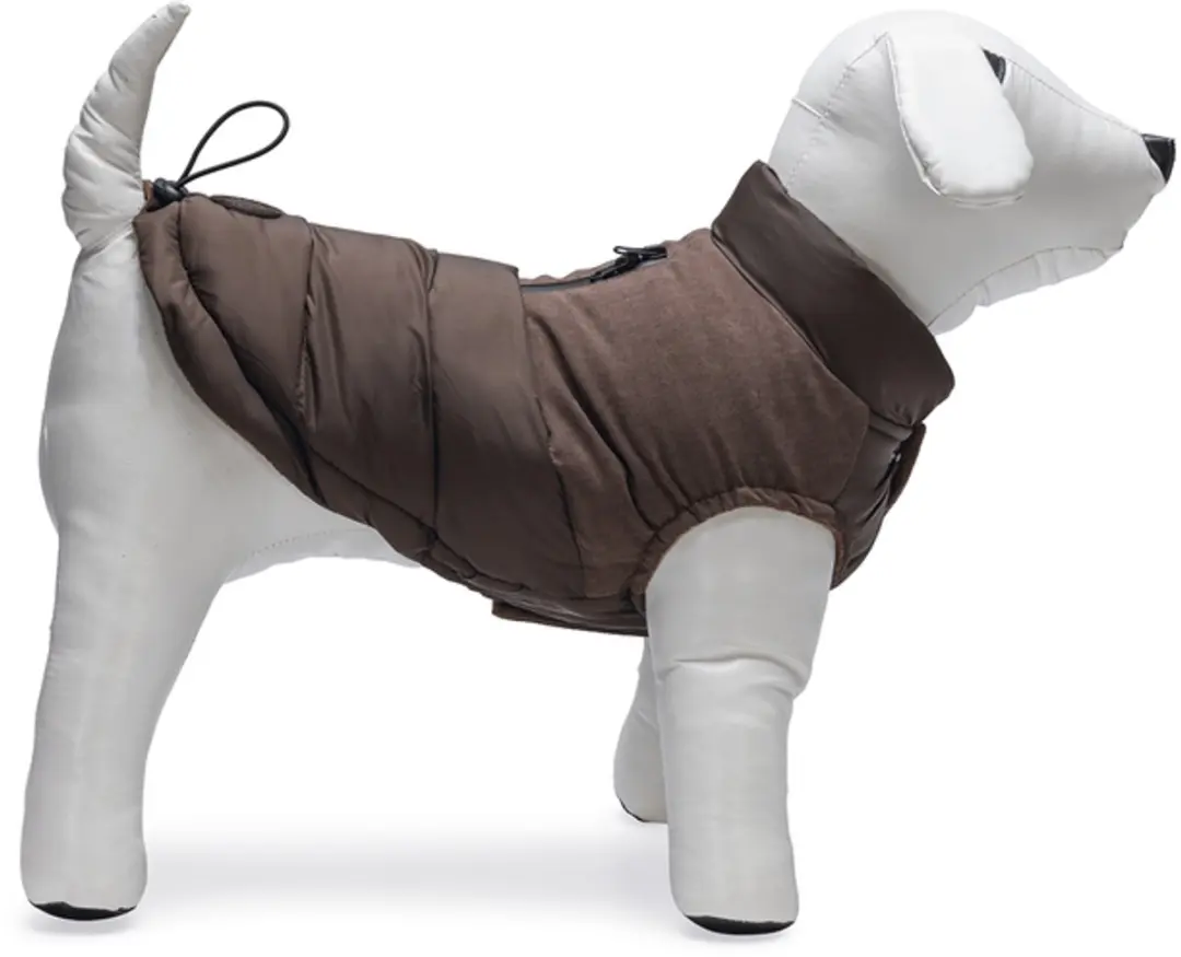 Beeztees Wisti Hondenjas - XS 32cm