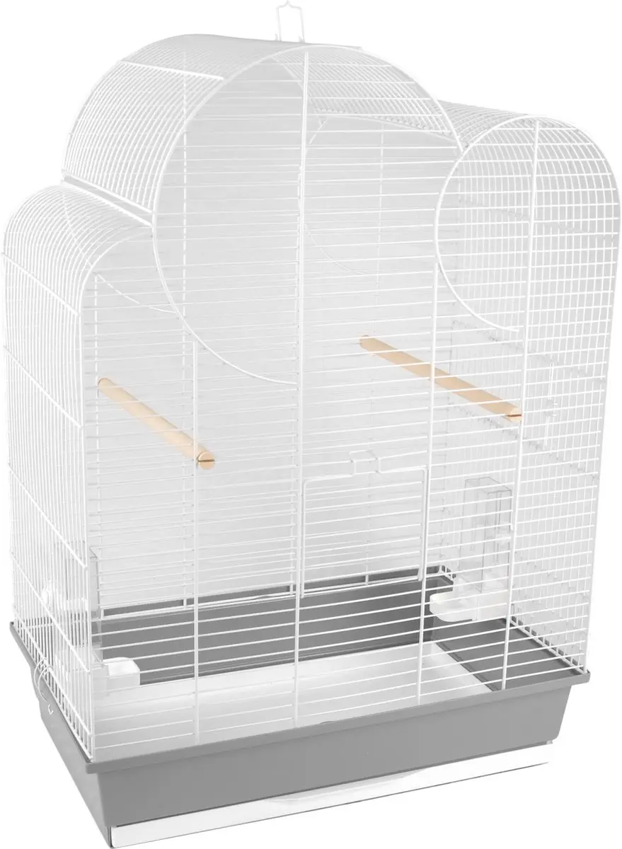 Flamingo Vogelkooi Wammer 1