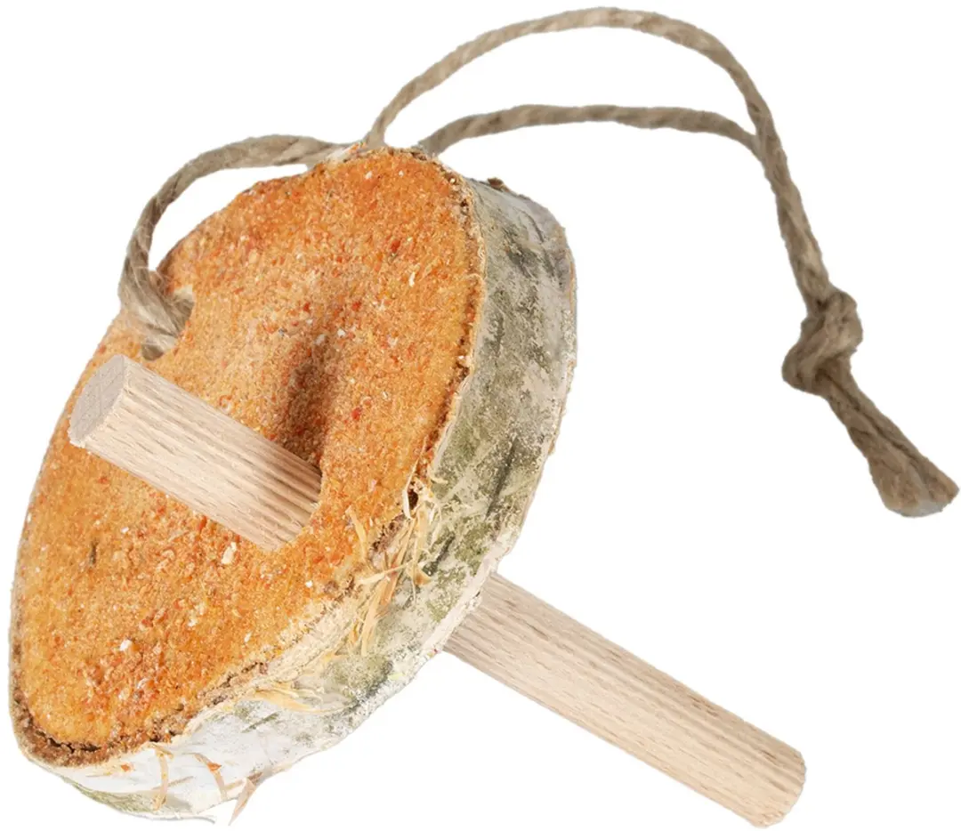 Duvo+ Berkenstam wortel & pastinaak +/-40g