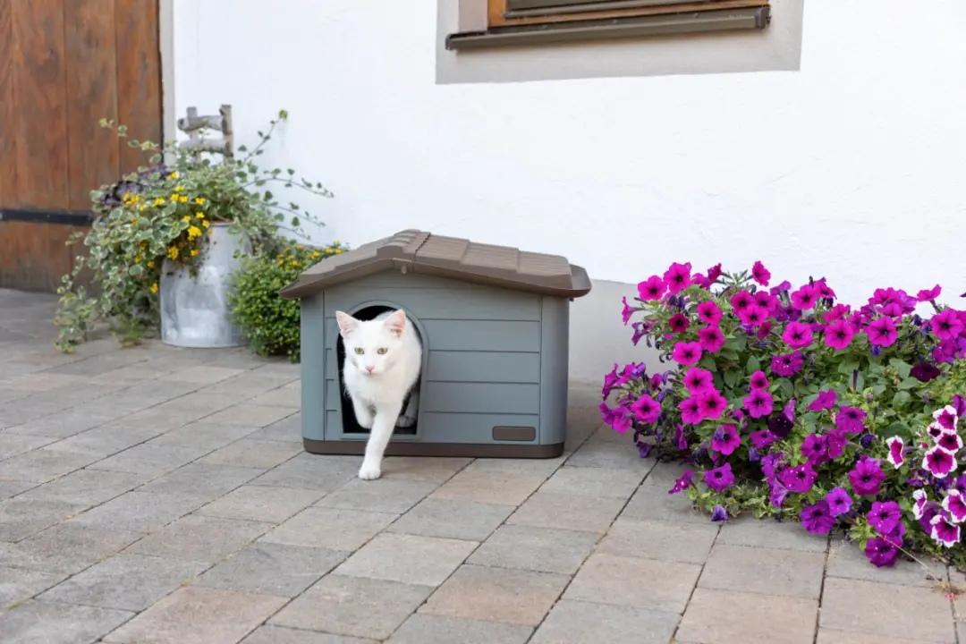 Duvo Kattenhuis 65x46x48cm
