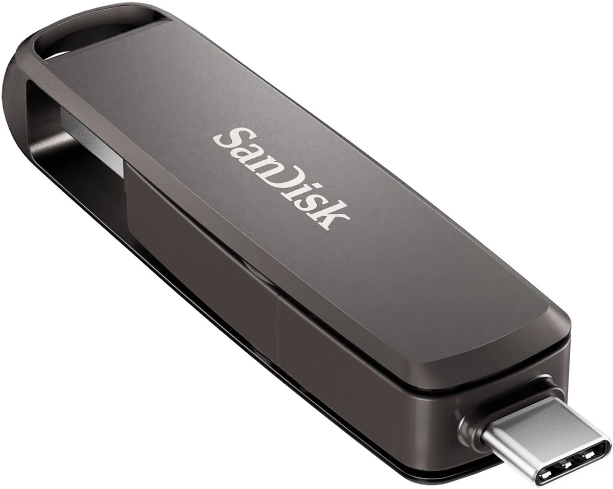 SanDisk Extreme PRO SDDDE1-256G-G46 USB-stick 256GB - Zwart