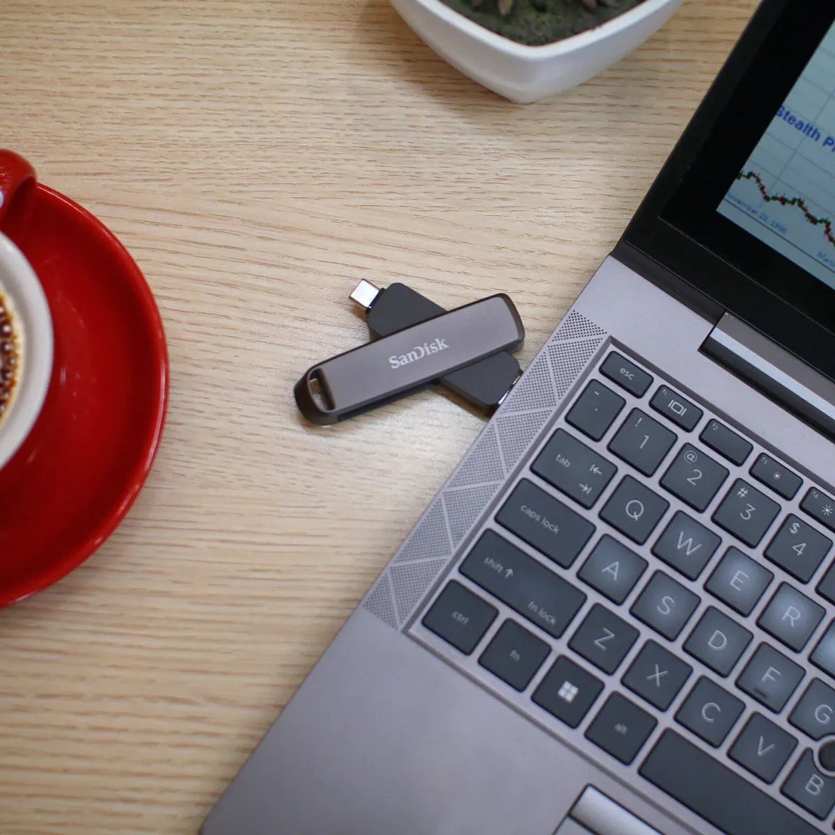 SanDisk Extreme PRO SDDDE1-256G-G46 USB-stick 256GB - Zwart