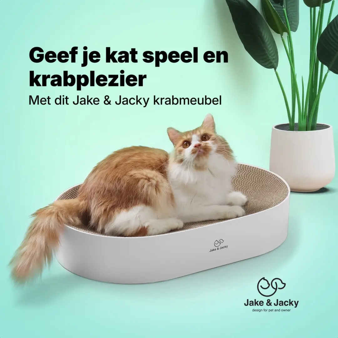 Jake and Jacky Krabkarton Kattenbed 55x35x10cm - Wit