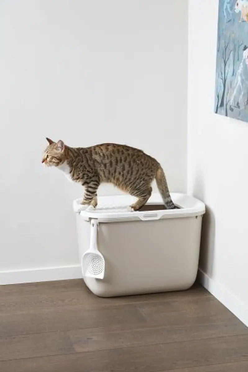 Savic Hop In Kattenbak Antraciet/Wit 58,5x39x39,5cm