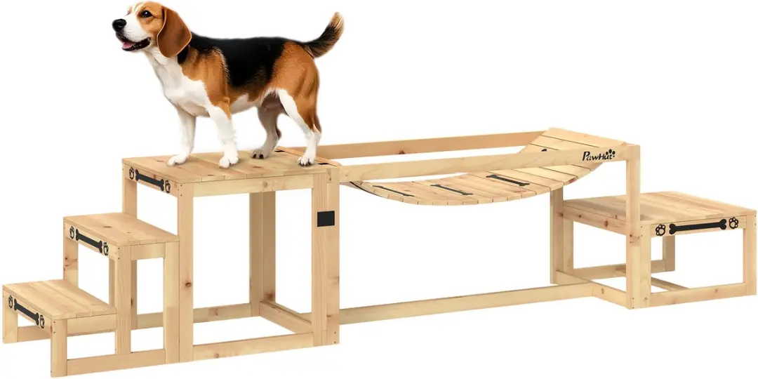 Pawhut Honden Agility Set Brug en Trap