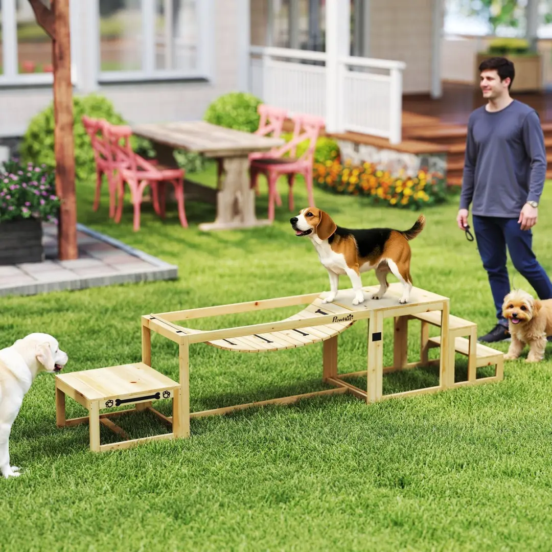 Pawhut Honden Agility Set Brug en Trap - Natuurlijk Hout