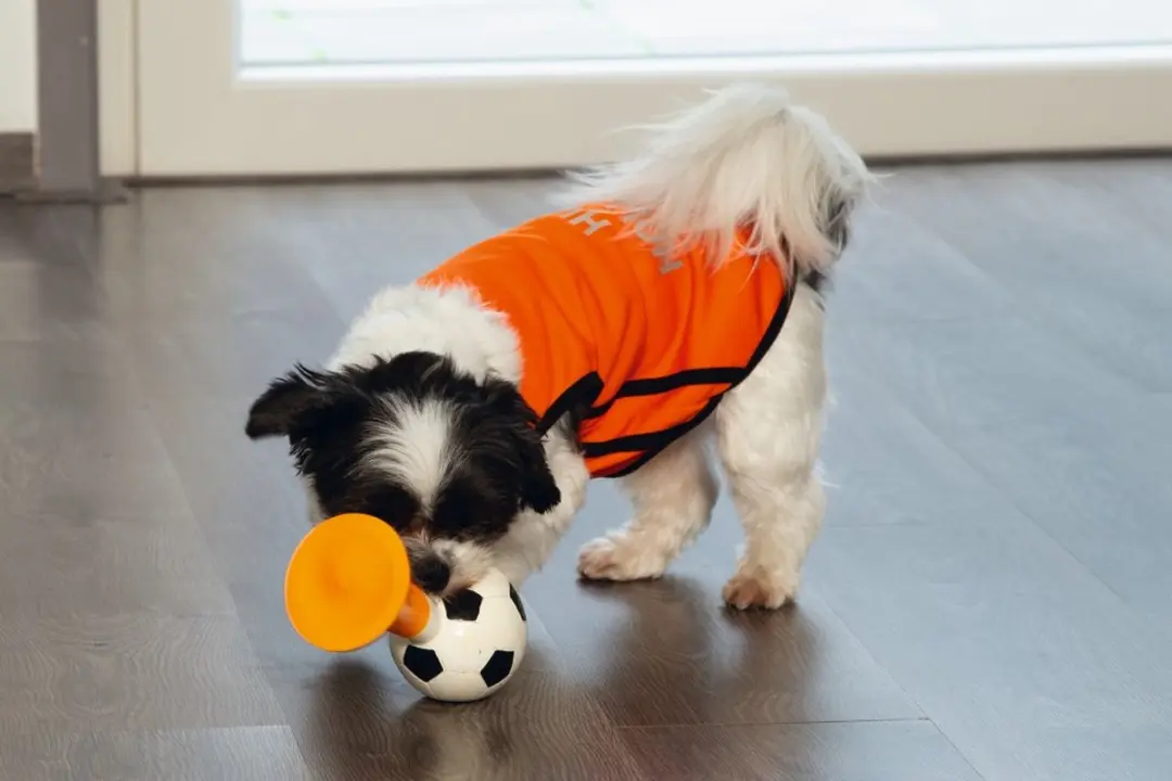 Beeztees Hup Holland Shirt Hondenkleding L - Oranje