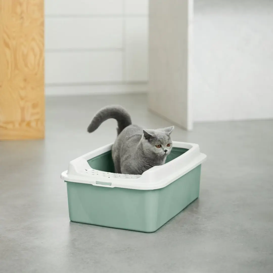 Rotho My Pet Bonnie Kattenbaklade 56x17x40cm - Groen