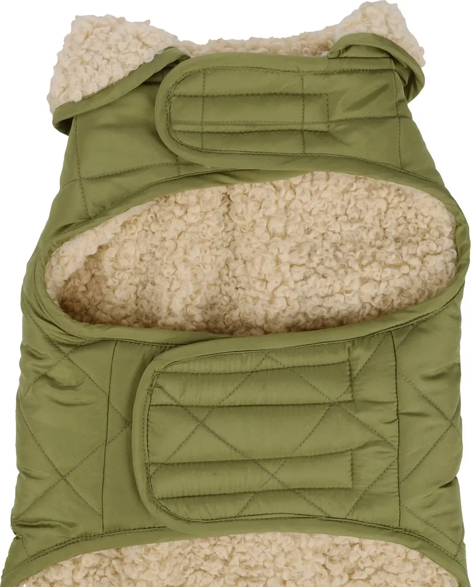 Flamingo Bonnie Hondenjas - XS - 35cm - Groen