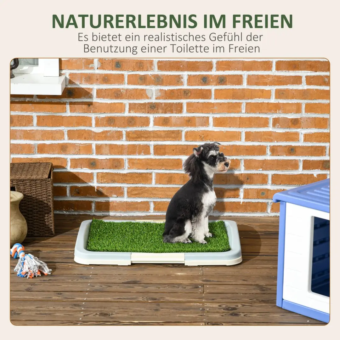 Pawhut Welpentoilette Kunstgras Honden-WC 63x48cm - Blauw