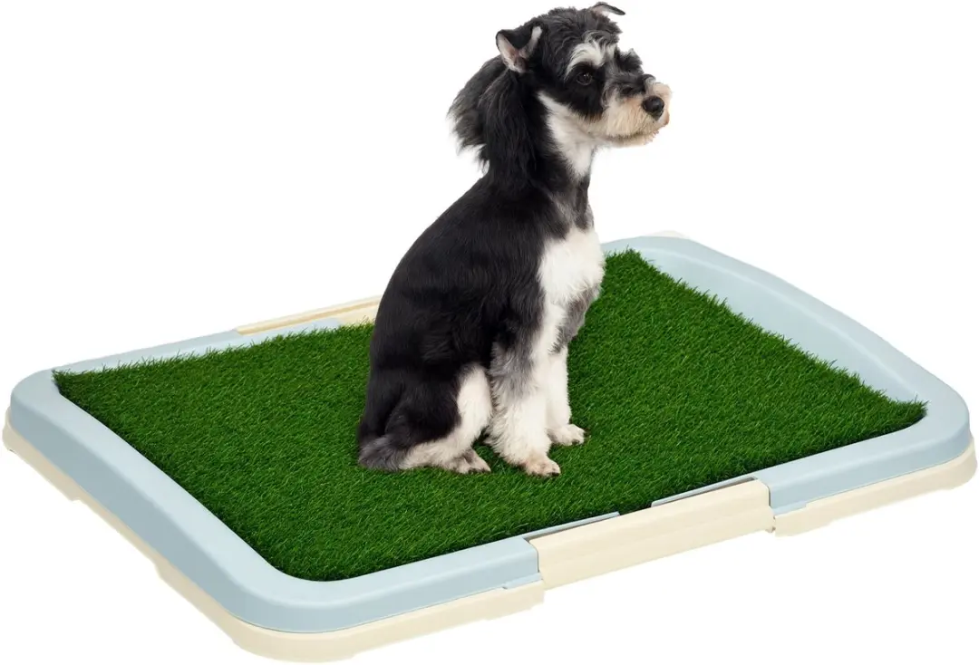 Pawhut Welpentoilette Kunstgras Honden-WC 63x48cm