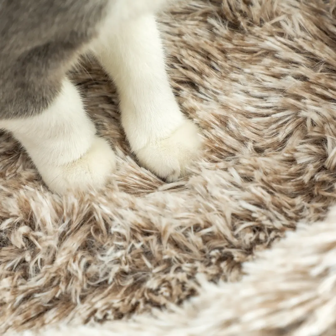 Pawhut Kattenboom 87cm - 2 Ligplekken - 1 Niveau - Bruin