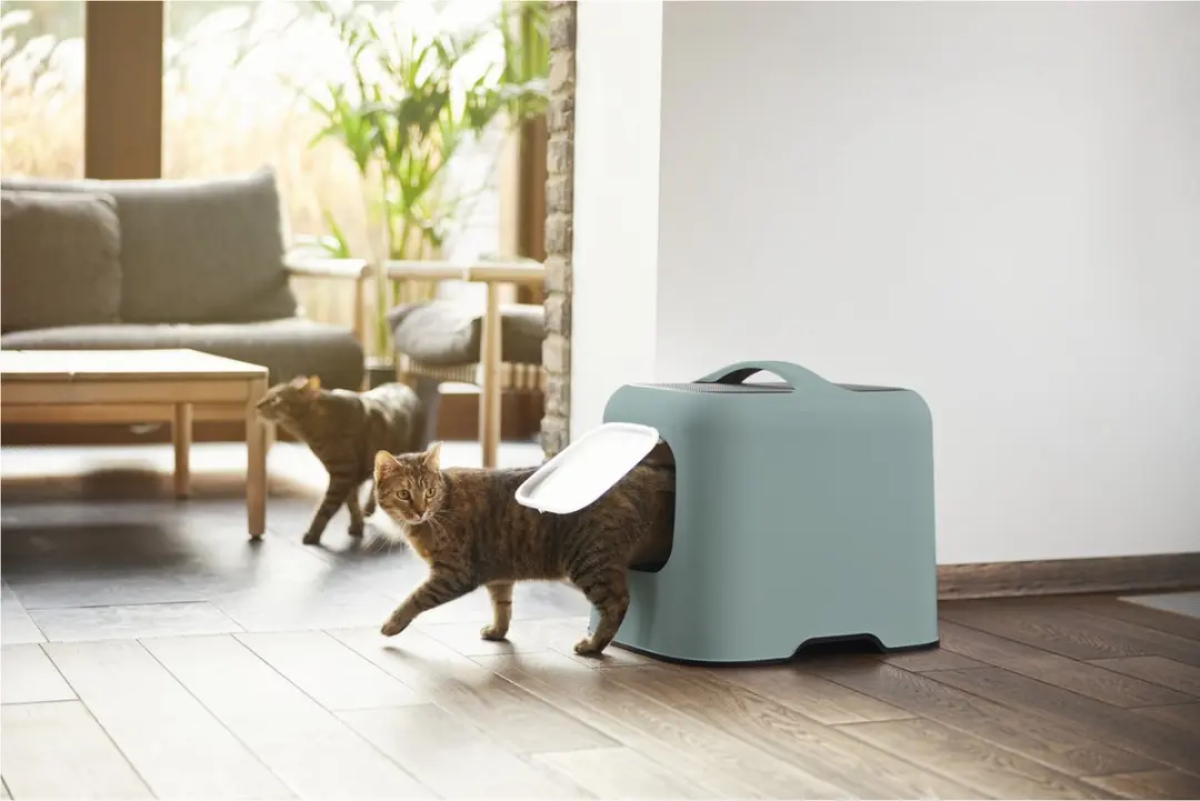 Rotho Mypet Biala Kattenbak 51x39,5x44,3cm - Groen & Antraciet