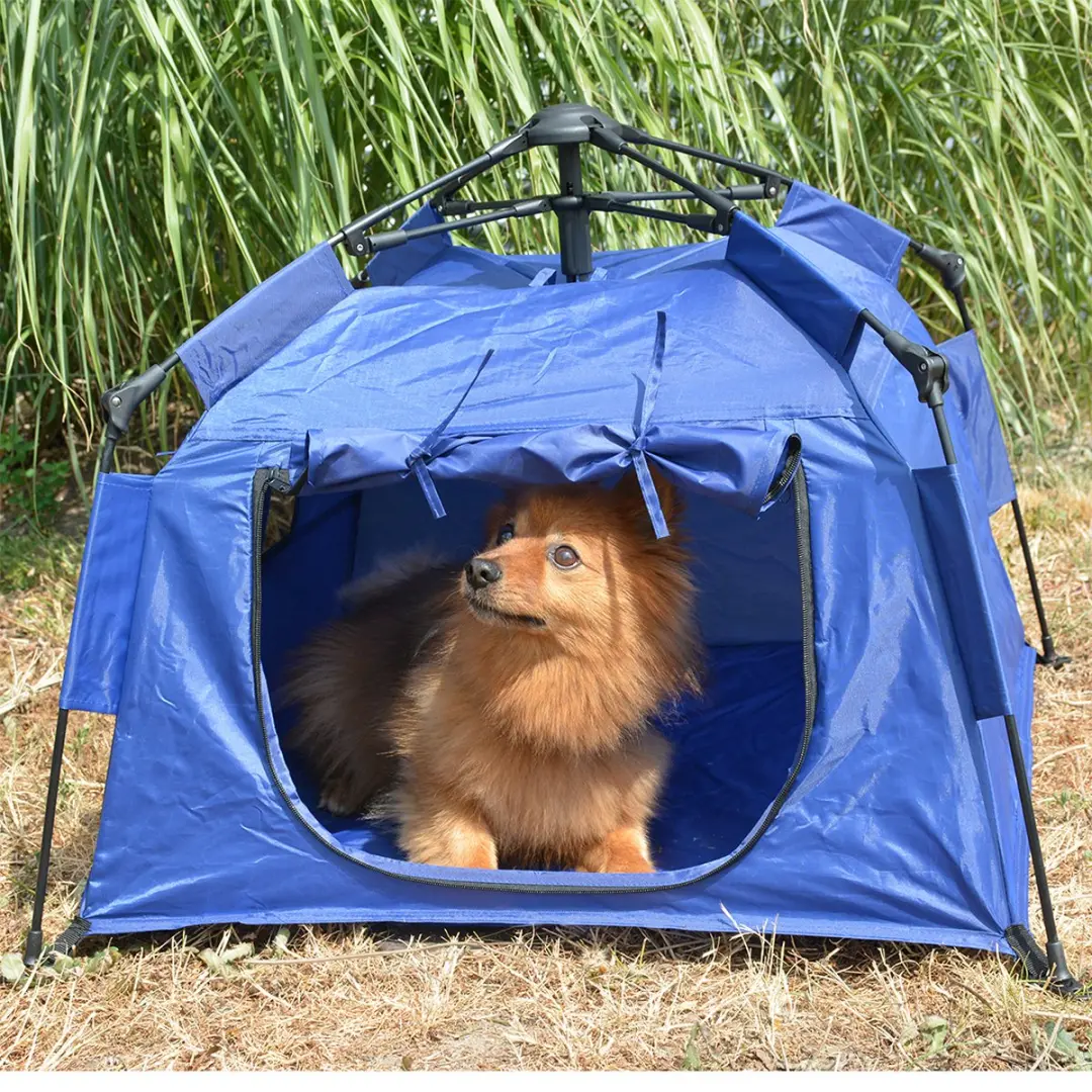 Duvo Pop-up Tent Huisdier Blauw 70x70x47cm