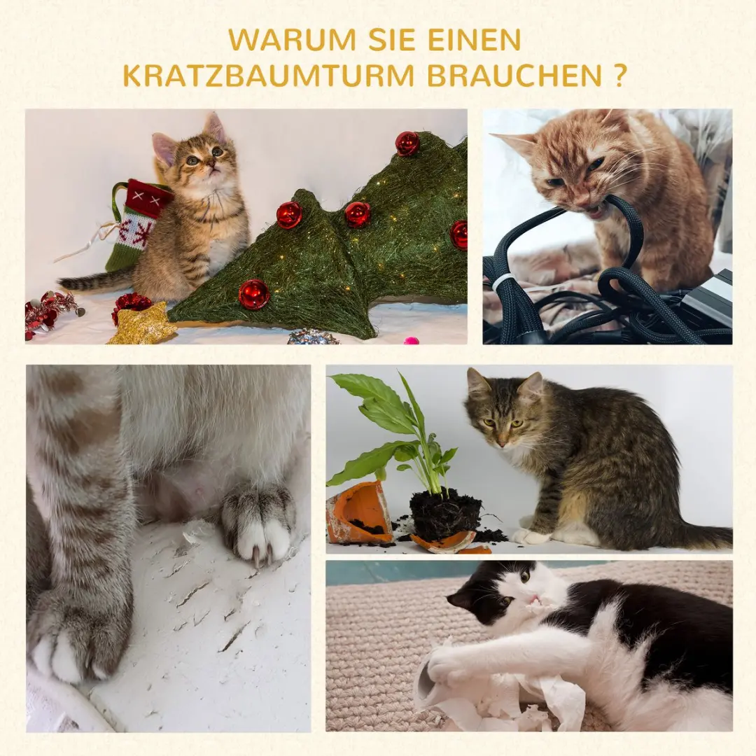 Pawhut Kattenboom Krabpaal D30-269 - 2 Niveaus - 3 Ligplekken - Blauw