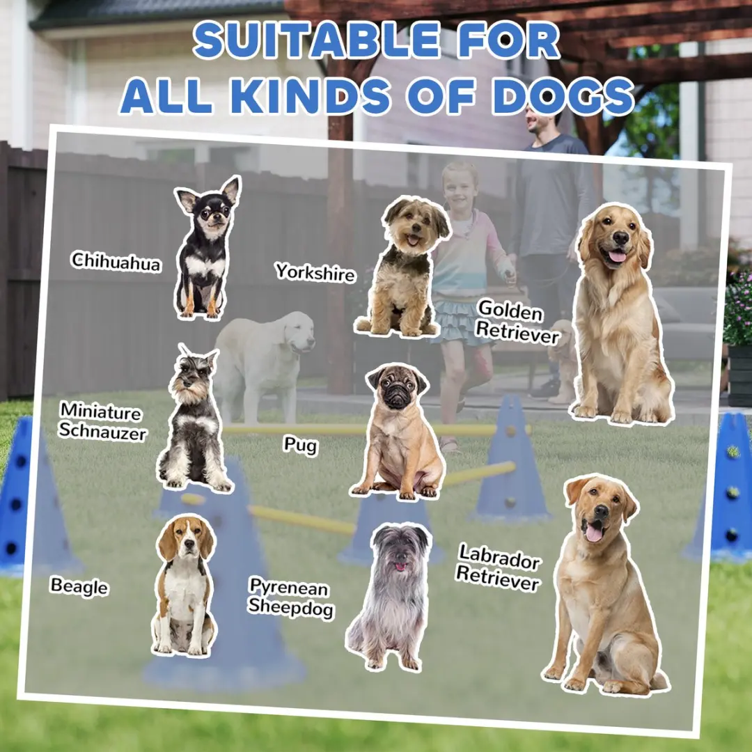Pawhut Honden Agilityset 16-delig - Blauw/Geel