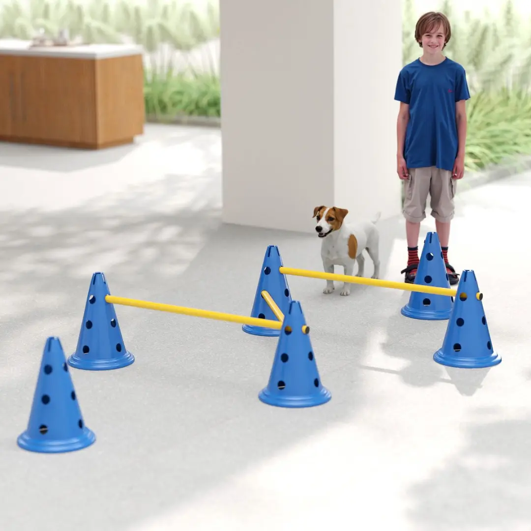 Pawhut Honden Agilityset 16-delig - Blauw/Geel