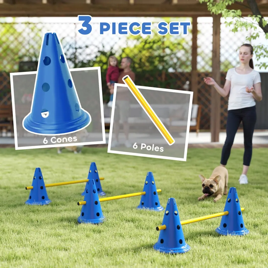 Pawhut Honden Agilityset 16-delig - Blauw/Geel