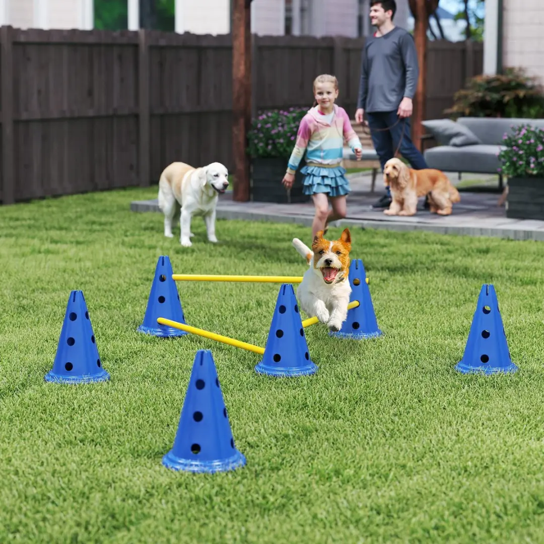 Pawhut Honden Agilityset 16-delig - Blauw/Geel