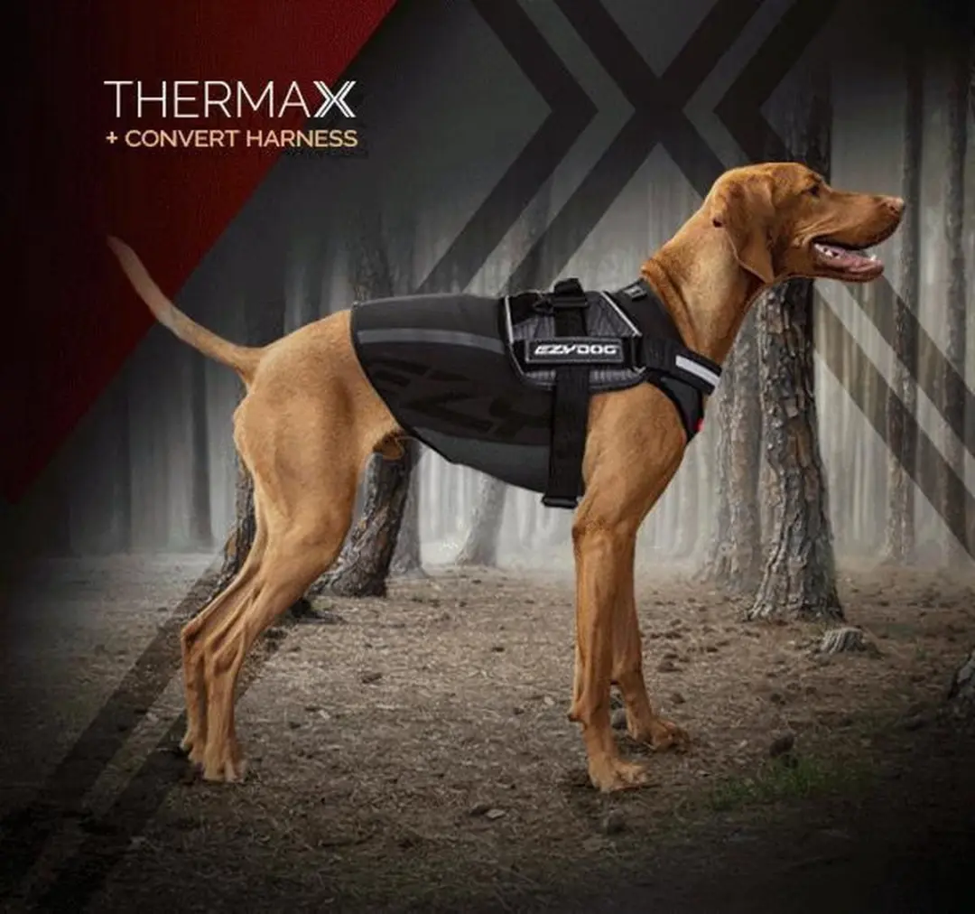 Ezydog Thermax Hondenjas L - Zwart