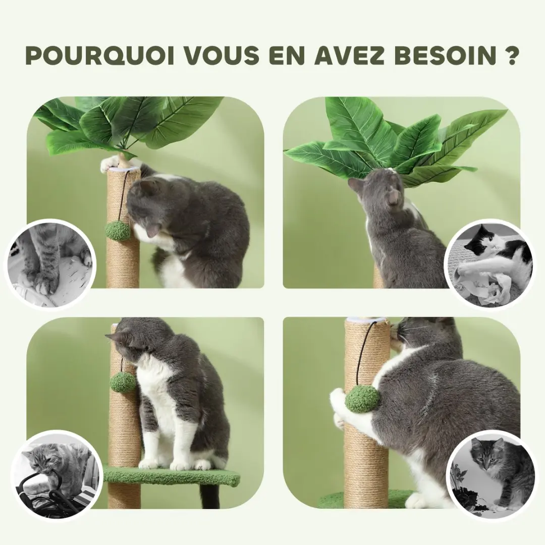 Pawhut Kattenboom Teddybeer 40x40x83cm - 2 Niveaus - Groen
