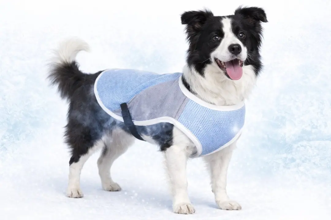 Flamingo Koelvest Hond XL