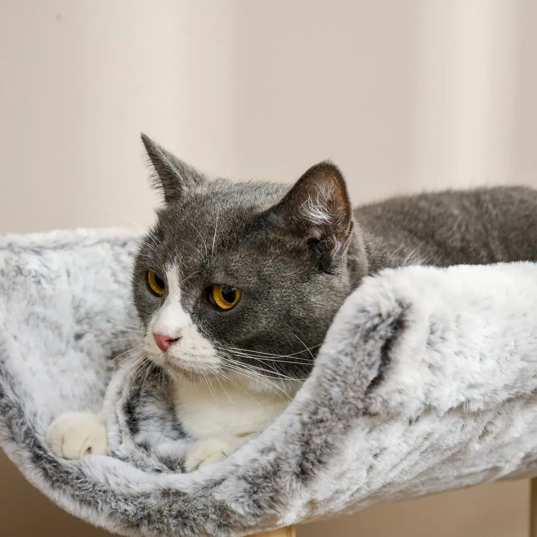 Pawhut Kattenboom 40x40x60cm Grijs - 2 Niveaus