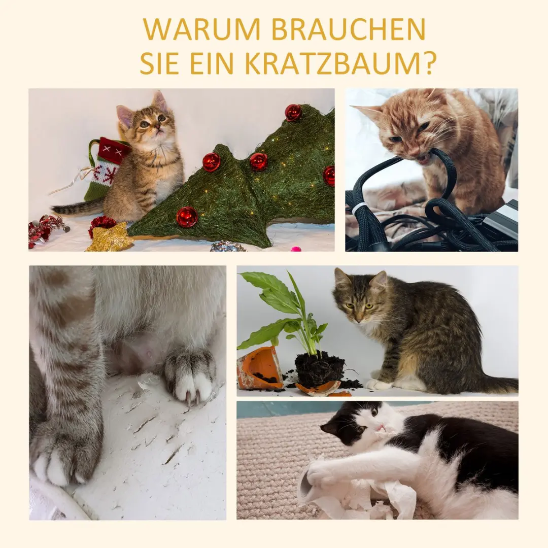 Pawhut Krabpaal D30-296V02 - 4 Niveaus - Ø9.5cm - Bruin