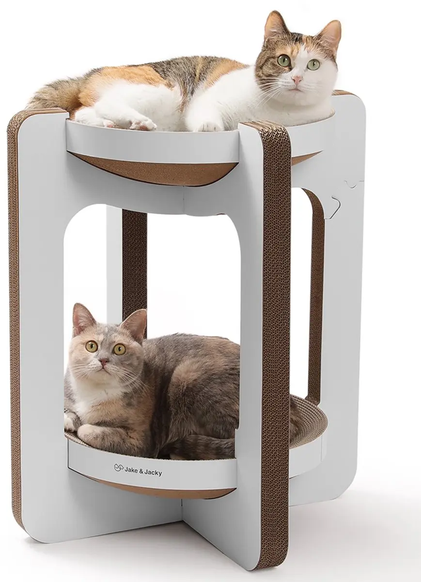Jake and Jacky Krabkarton Katten