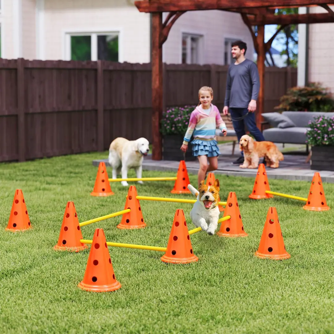 Pawhut Agility Set Honden - 6-delig met 12 Kegels - Orange