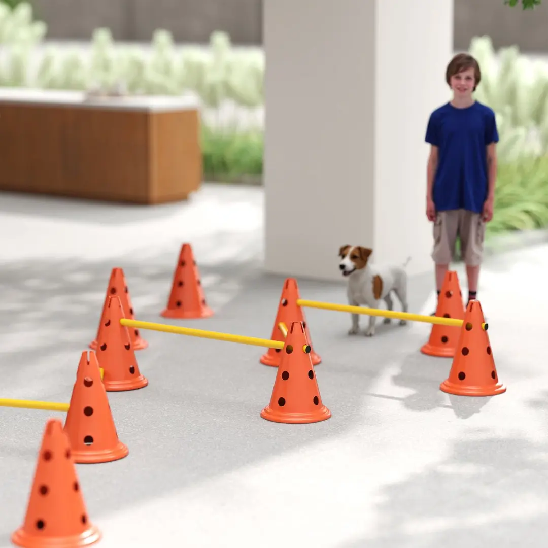 Pawhut Agility Set Honden - 6-delig met 12 Kegels - Orange