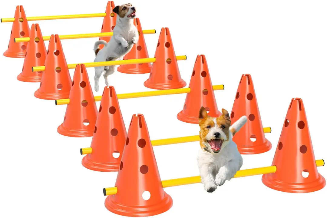 Pawhut Agility Set Honden