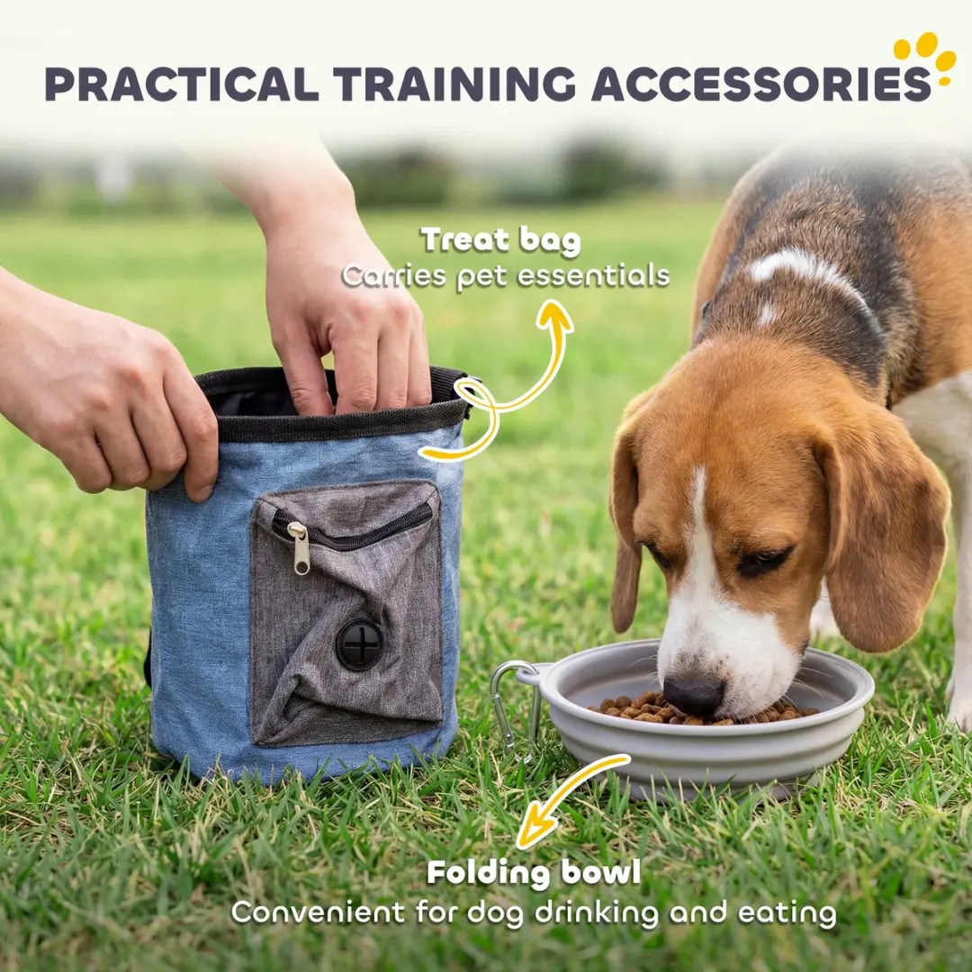 Pawhut Honden Agilityset 11-delig - Meerkleurig