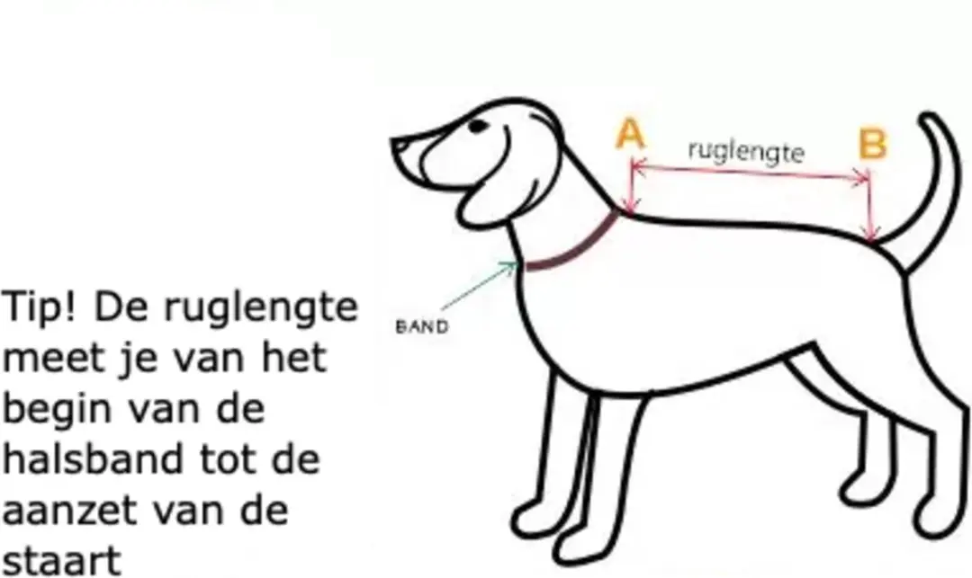 Duvo Hondenjas - M
