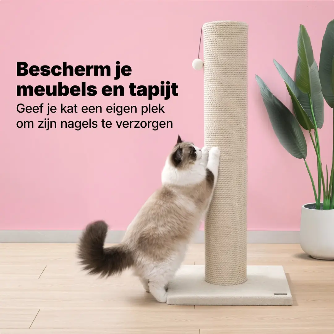 Jake and Jacky Krabpaal Grote Katten - 56x56x120cm - Ø20cm Sisal