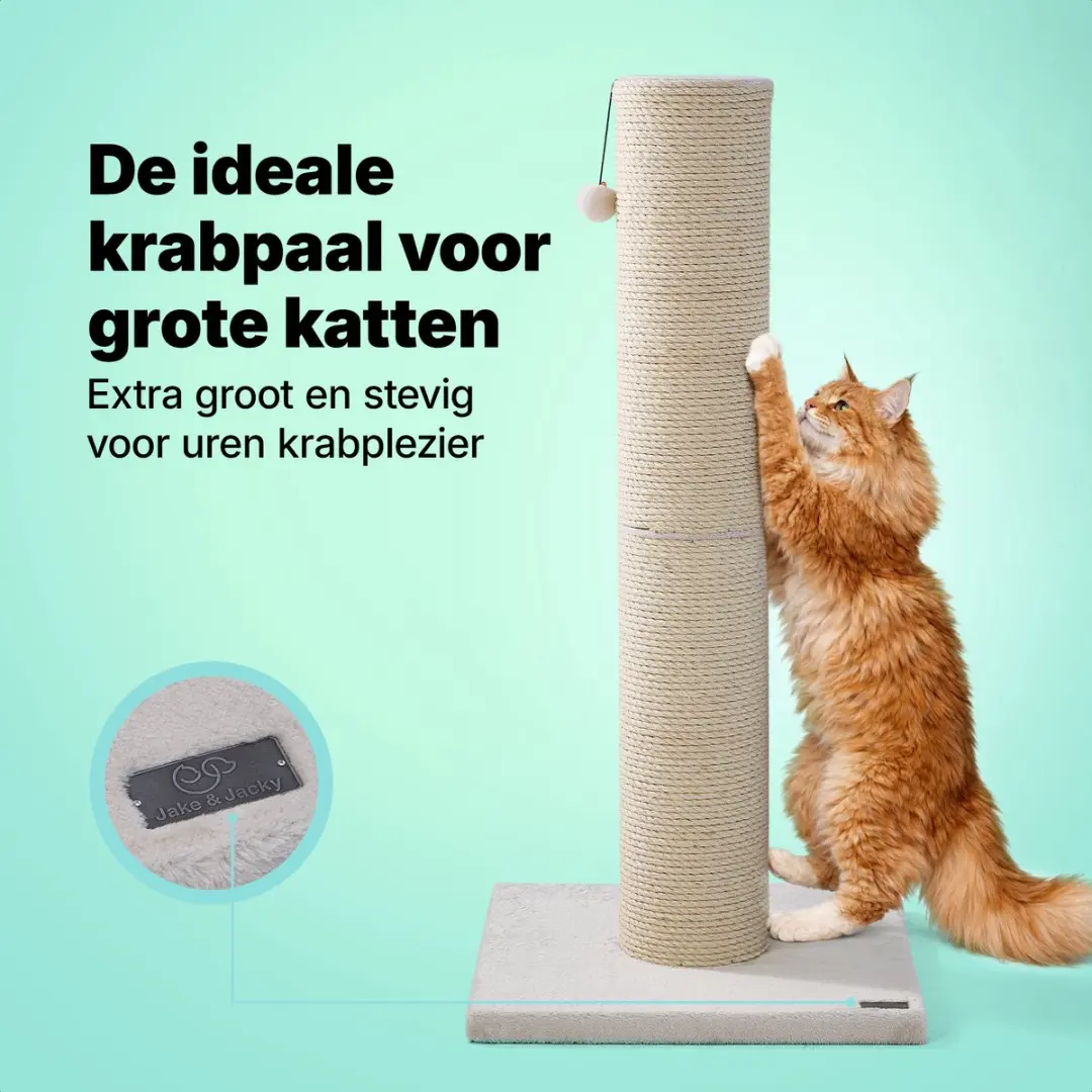 Jake and Jacky Krabpaal Grote Katten - 56x56x120cm - Ø20cm Sisal