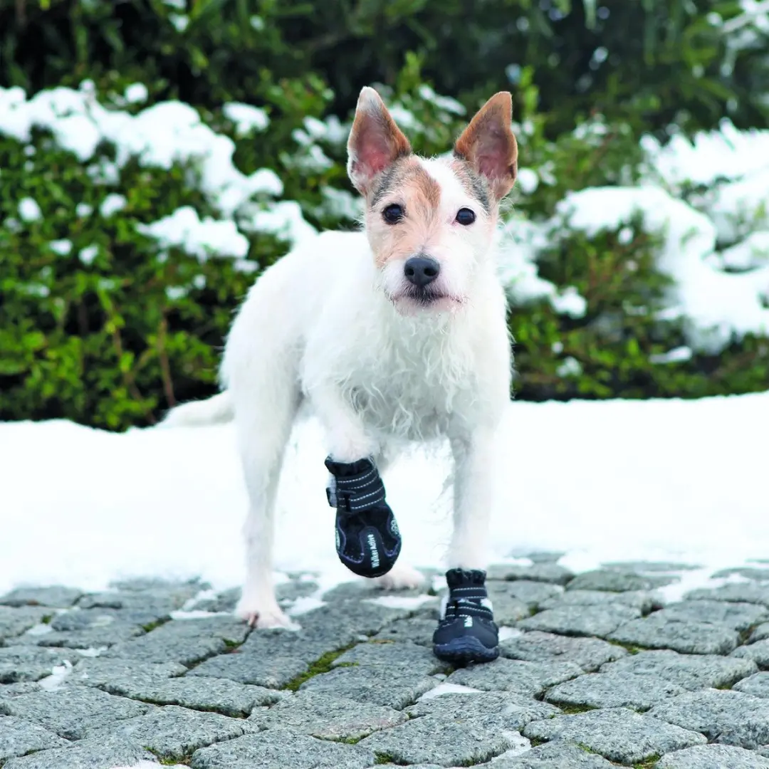 Trixie Walker Hondenschoenen L - Zwart