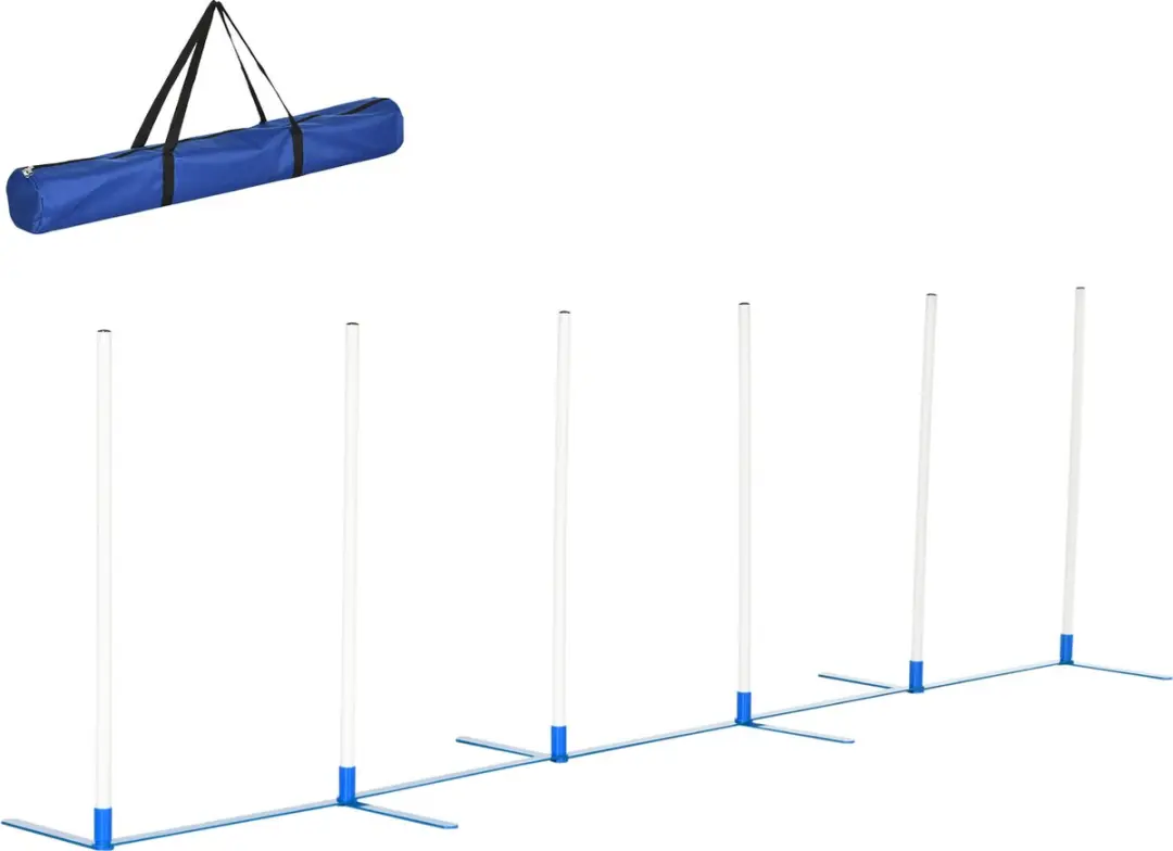 Pawhut Honden Slalompalen Behendigheidstraining D07-021 - Wit/Blauw