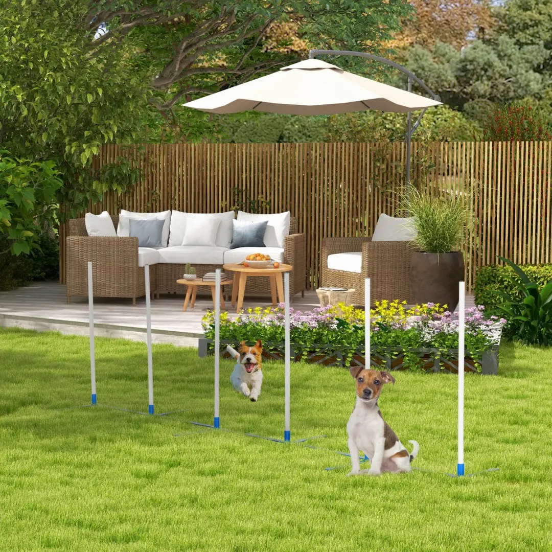 Pawhut Honden Slalompalen Behendigheidstraining D07-021 - Wit/Blauw