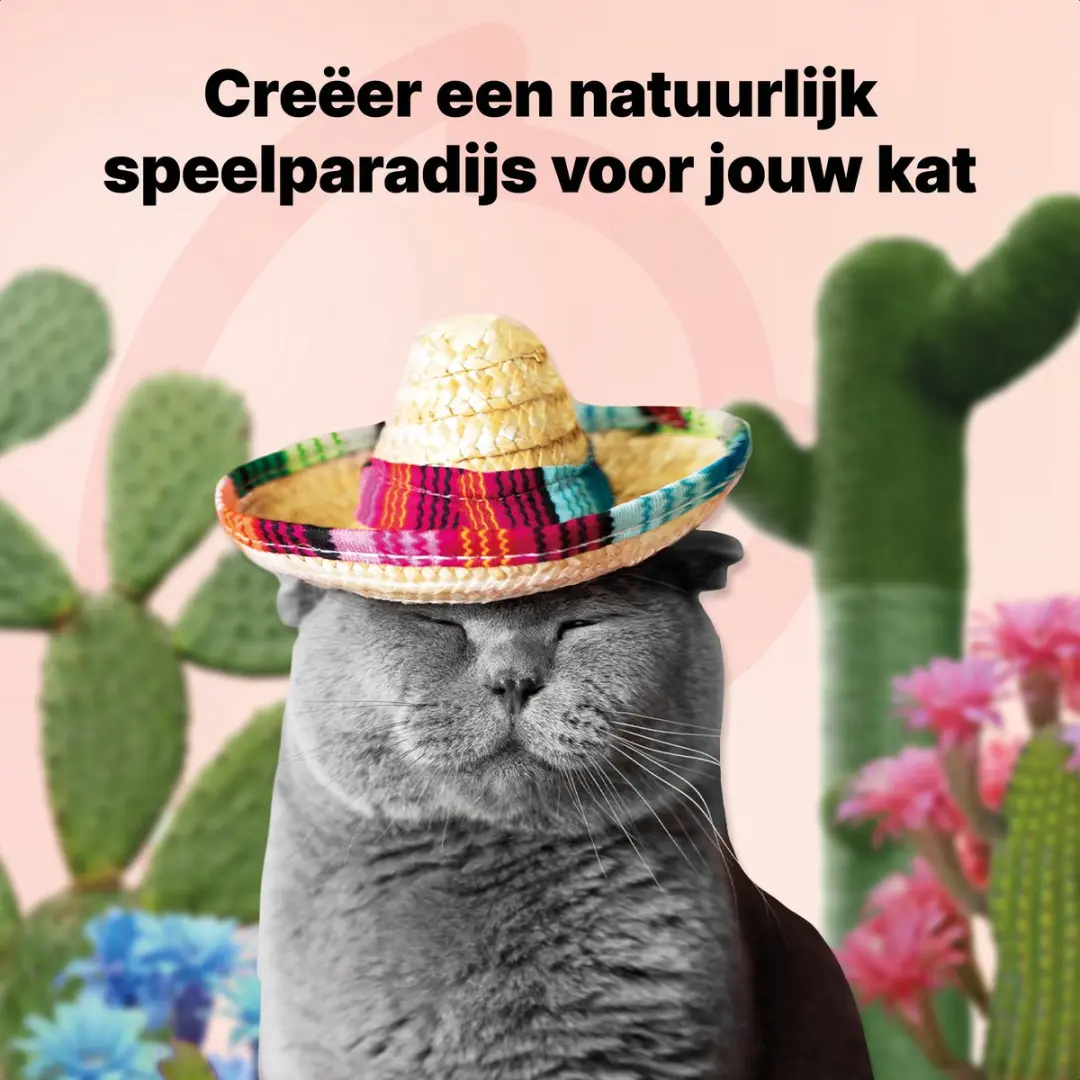 Jake and Jacky Krabpaal Cactus Groen 65cm - Kattenkrabmeubel