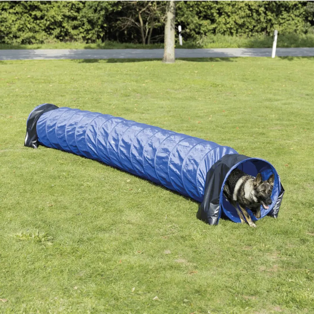 Trixie Dog Activity Agility Basis Tunnel - Blauw 60x5m - afbeelding 3 van 6