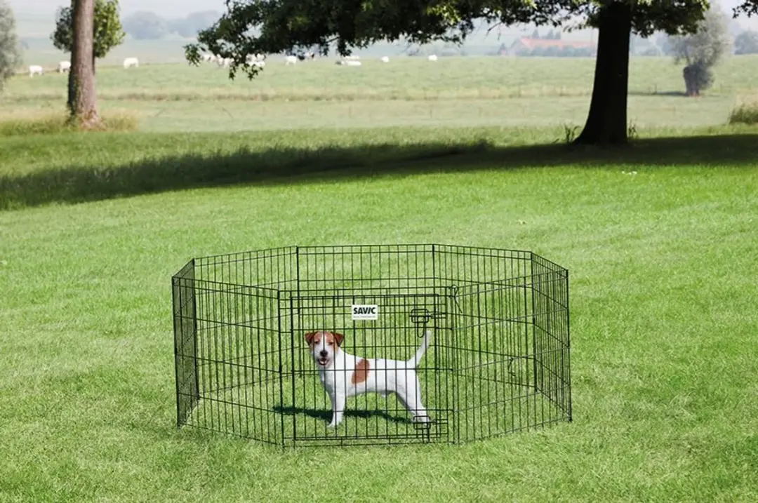 Savic Hondenpark 1 Puppyren